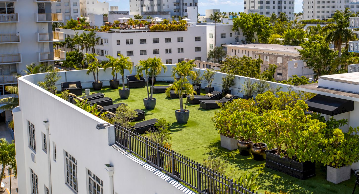 A sunny rooftop terrace with a green lawn, potted plants, and black lounge seating, surrounded by tall apartment buildings.