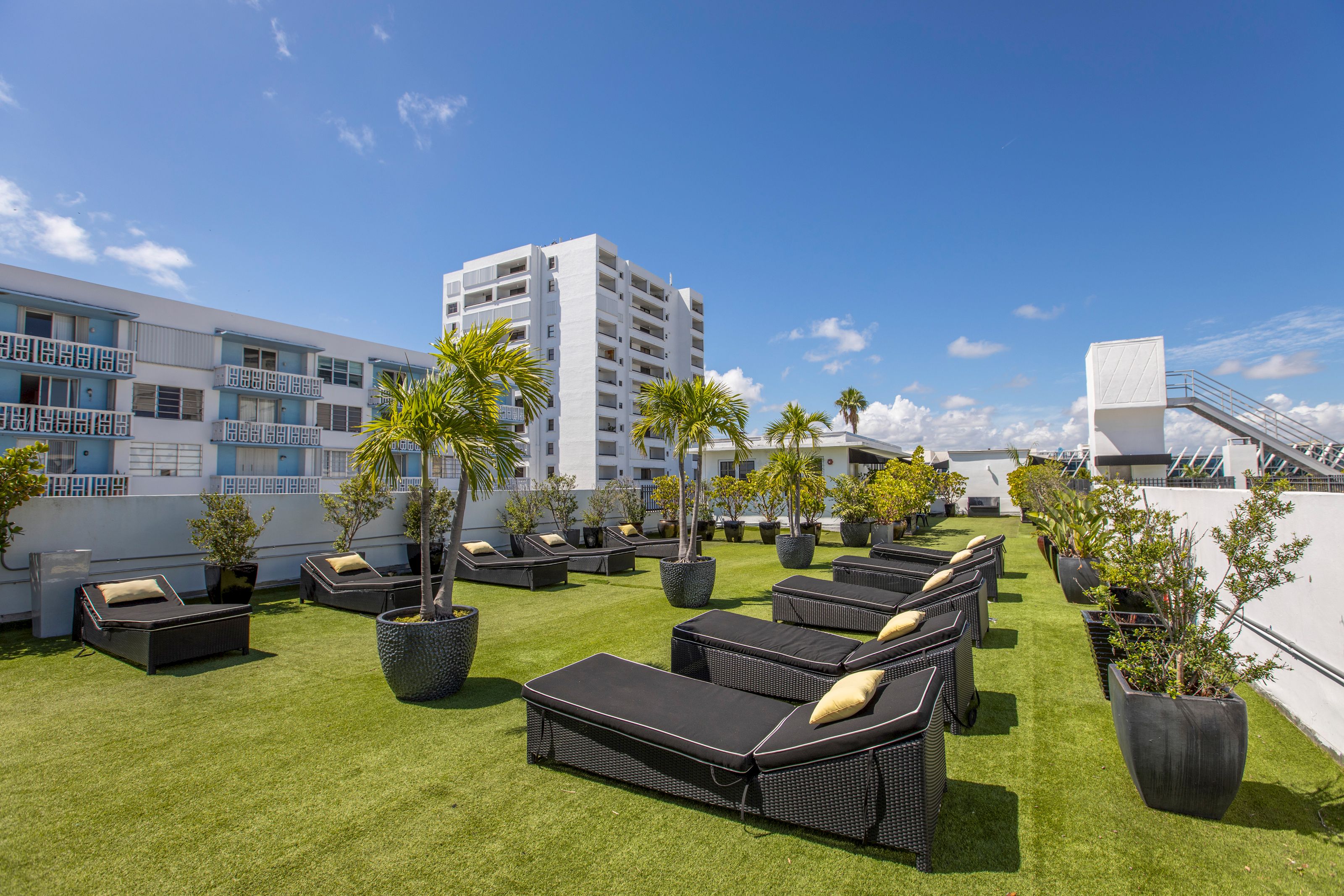 A rooftop lounge area with artificial grass, lounge chairs, and potted plants.