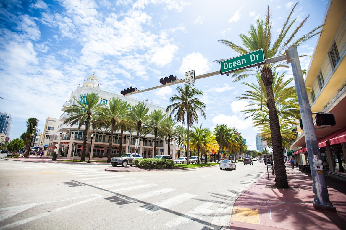 A sunny streetscape with palm trees and an &ldquo;Ocean Dr&rdquo; street sign over a busy road downtown.