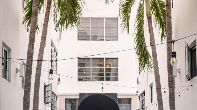 A white building with an arched entrance, palm trees, and string lights